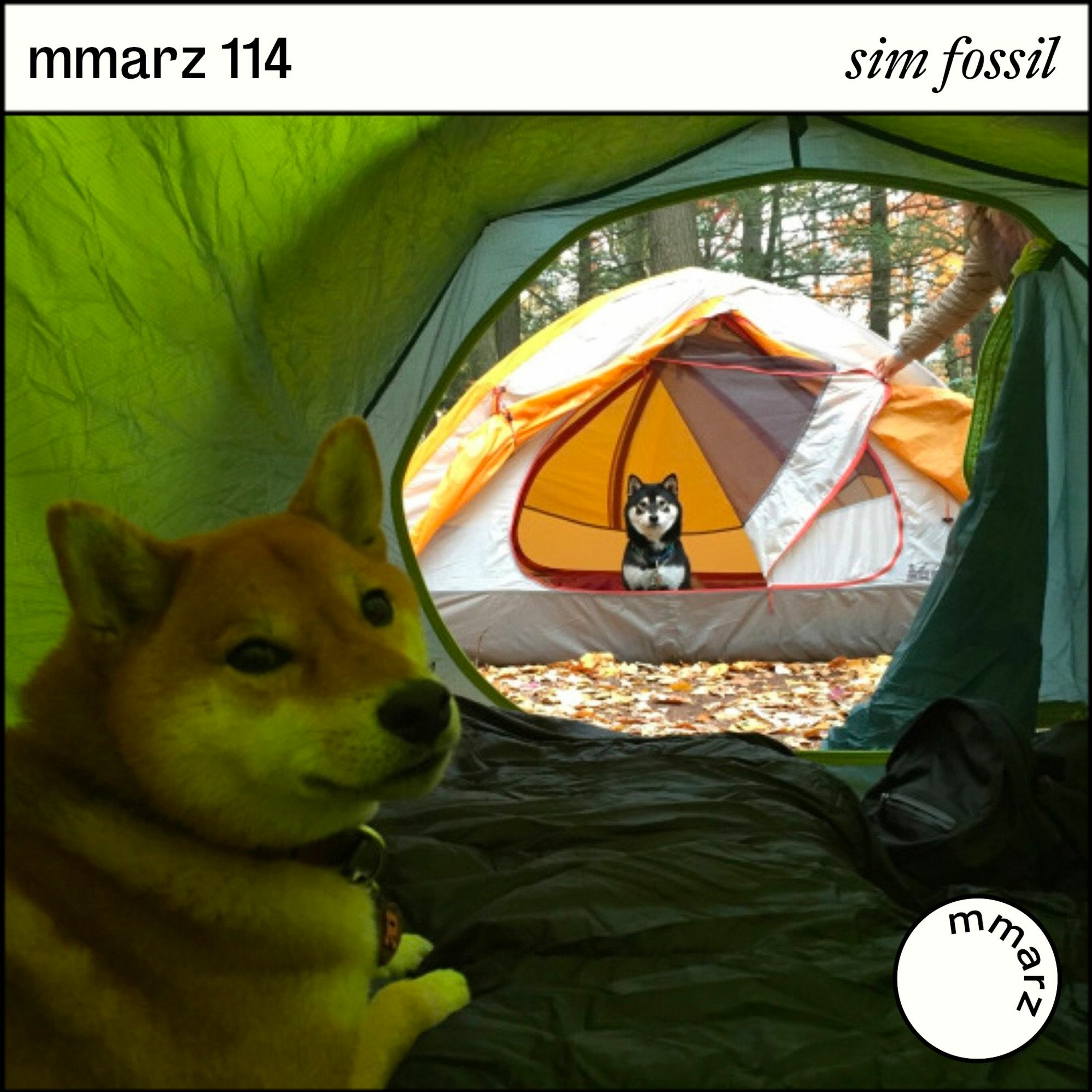 mmarz
