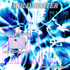 MOLD MASTER [PROD. RAYE REDGRAVE] #IRIDESCENT