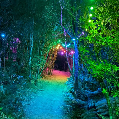 Dastardly Bounder Splore 2021 Crystal Palace