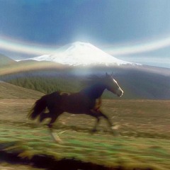 Chappell Roan - Pink Pony Club (V_S 2-STEPPER)