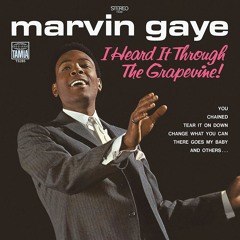 DTO x MARVIN GAYE