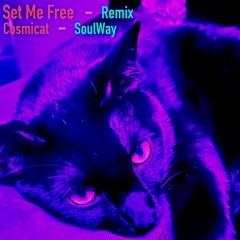 Cosmicat Set Me Free - SoulWay Remix