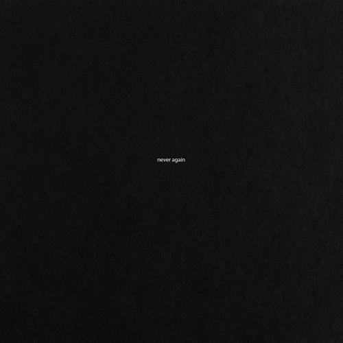 NEVER AGAIN (DEMO)