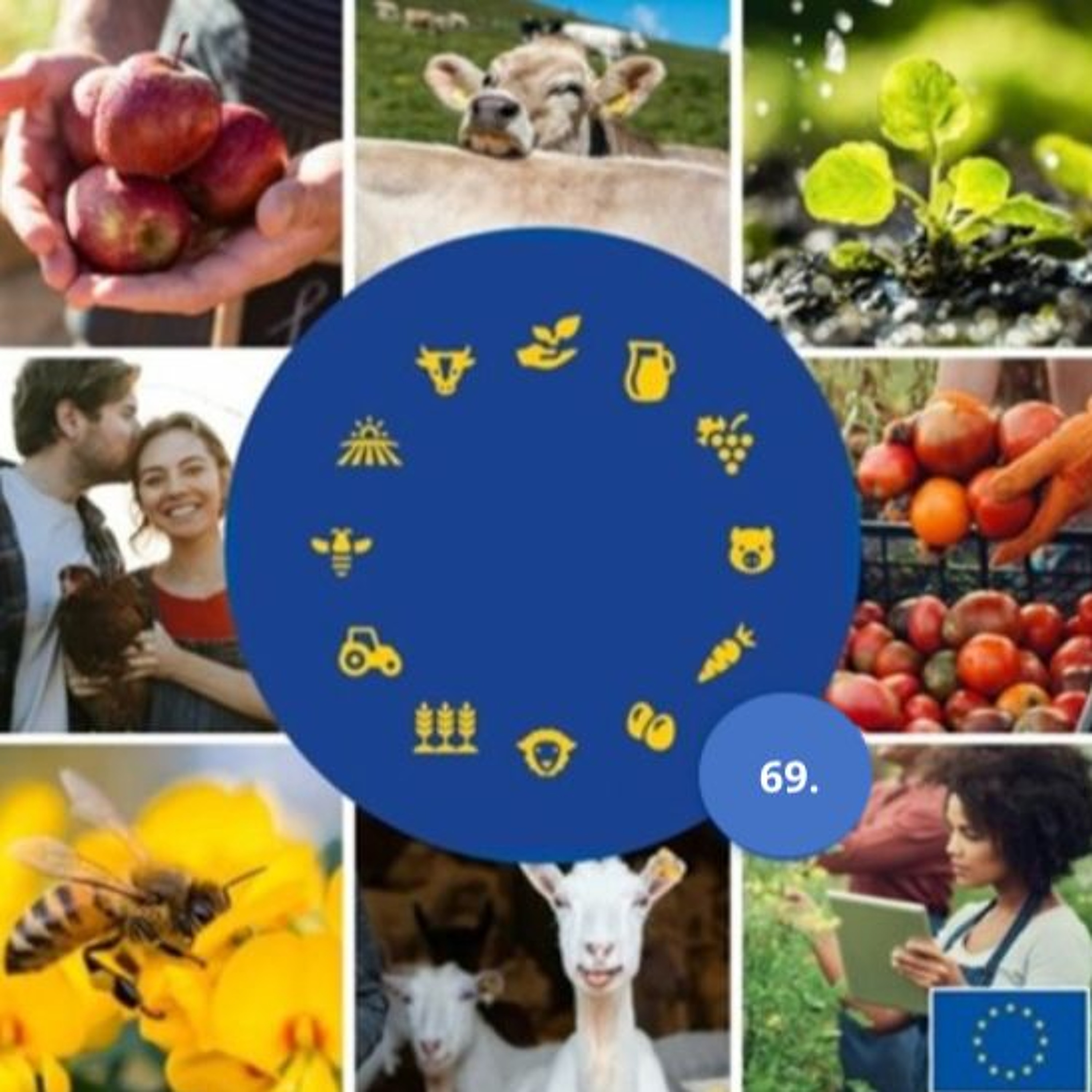 69. Chypre : l’agriculture biologique en plein essor