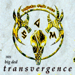 BIGDED PRESENTS : TRANSVERGENCE PRODUCED BY ZEROSUIT