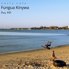 n a s t y  n a t e - Fungua Kinywa. Day 901 - AMAPIANO