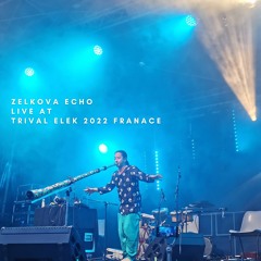 zelkova echo Live at TribalElek 2022