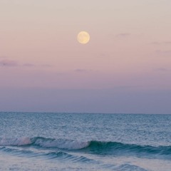 Moon 🌕🌊 [Free Download]