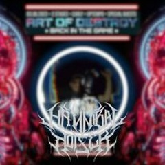 Hannibal Noizer - Art Of Destroy Intro