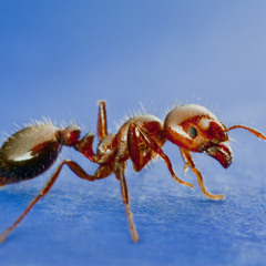 Wind of fjords if i made it and it wasnt good