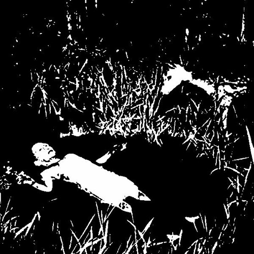 BAW - ROT t TEN [DISSECTED] (clip)