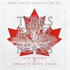 Tears For Fears + Kiko Navarro - Break It Down Again (Borby Norton Smashed TROP Mix)