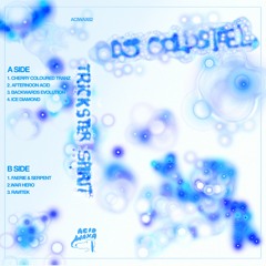 Premiere: DJ Coldsteel - Backwards Evolution [Acid Waxa]