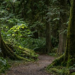 Roberts Creek Dance Temple For Peace