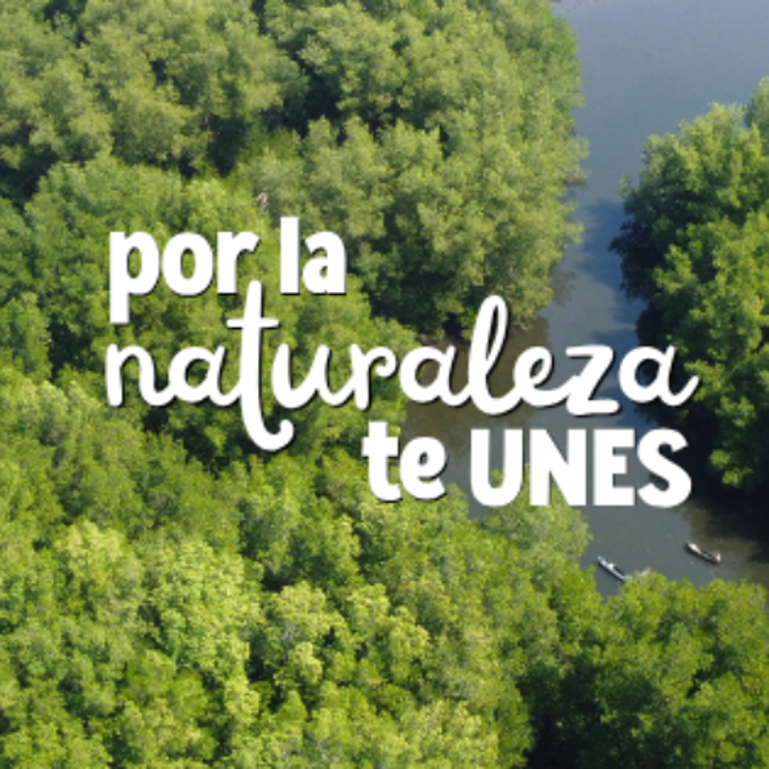 Con el sueño de siempre: el cuidado del medio ambiente episode artwork