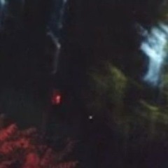 SELF DESTRUCT.. (PROD. GRXGVR)