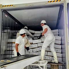 José Mellado - Río Negro consolida su perfil exportador: primer envío de carne ovina de la zafra desde la Región Sur