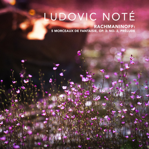 5 Morceaux de fantaisie, Op. 3: No. 2, Prélude