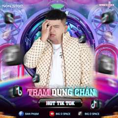NONSTOP TRẠM DỪNG CHÂN HOT TIK TOK 2025 | BIG D MIX | VINAHOUSE