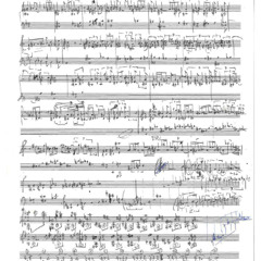 Musik für Kammerorchester - Version für großes Orchester (2022-2023/2024)