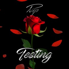 Testing-PURP