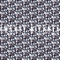 TWENTYBITCHES (demo) ft Playintrix x SXKRTY