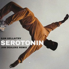 Sam Gellaitry - Serotonin (Jam Dealerz Remix)