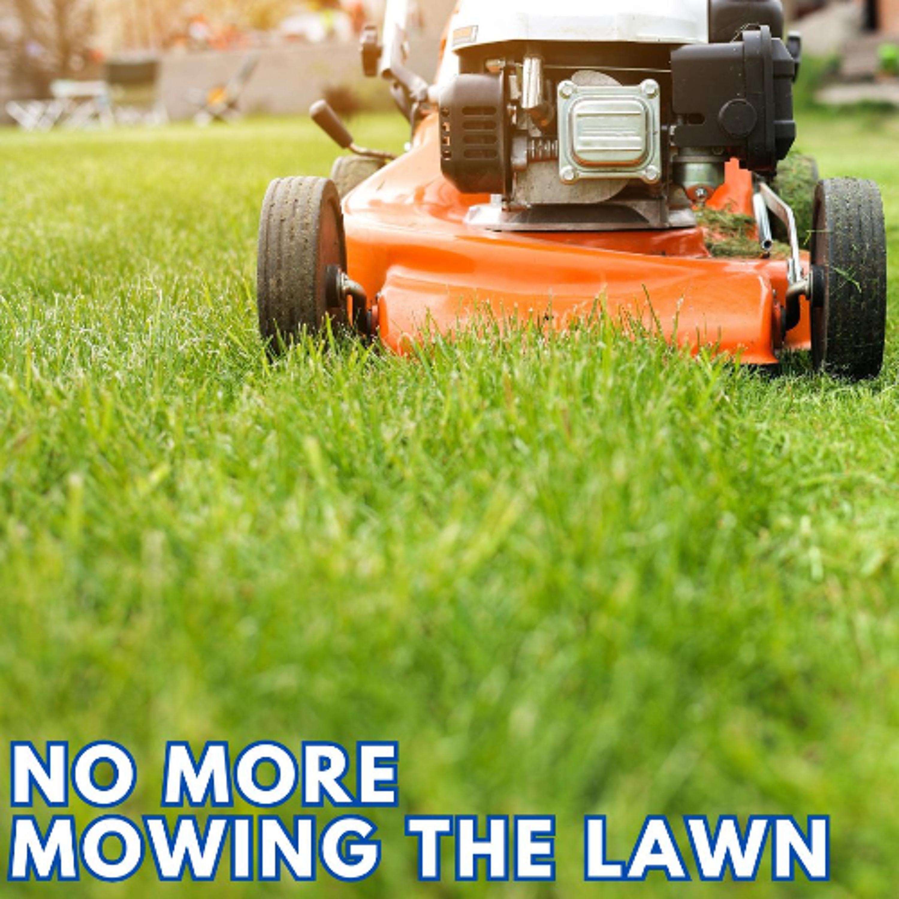 NO MORE MOWING THE LAWN episode artwork