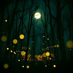 COUNTRY HIT - LE LUCCIOLE CANTANO - CANZONI DEL BOSCO - RELEASE - Arcturus