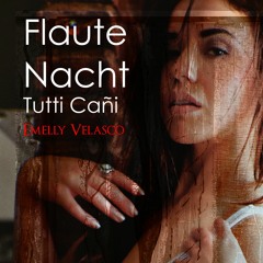 Flaute Nacht Tutti Cañi