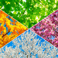 Seasons
