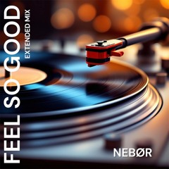 Feel so Good (Extended Mix )