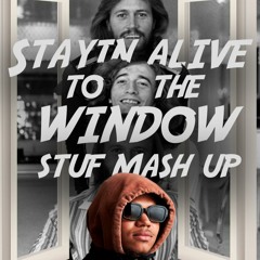 WINDOW -  STUF TO THE ALIVE MASH UP BOOGIE