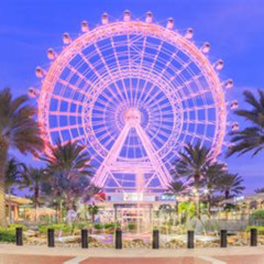 Best Things Todoinorlando Tours Reviews