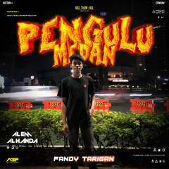 Pengulu Medan (Alem Alhanda Edit x FANDY TARIGAN) #BUKAN_DJ