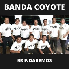 Brindaremos