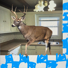 unfinished_finished_there is a deer in my kitchen