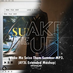 Lucas & Steve X Jeanway X Aloe Blacc - Wake Me Seize Them Summer.mp3 (AY3L Extended Mashup)