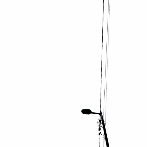 birds on a wire//what if i jump?