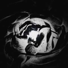 LA FLEUR DU NEANT (Prod. 6RAW x JULPICH)