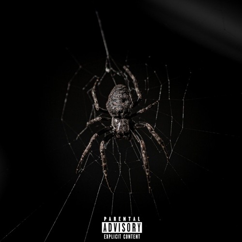 WASTE OF LIFE (prod. Netuh)