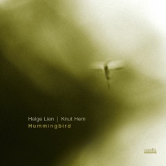 Helge Lien & Knut Hem - Dis