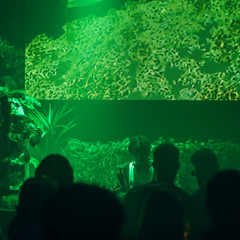 Andy Luff - Greenlight x Linija, Rijeka 07.12.24 (Recorded Live)