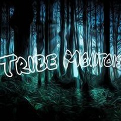 Tribe Montois
