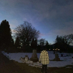 Nightshade and Easter Lillies