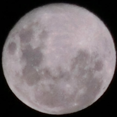 hace un año y medio demo