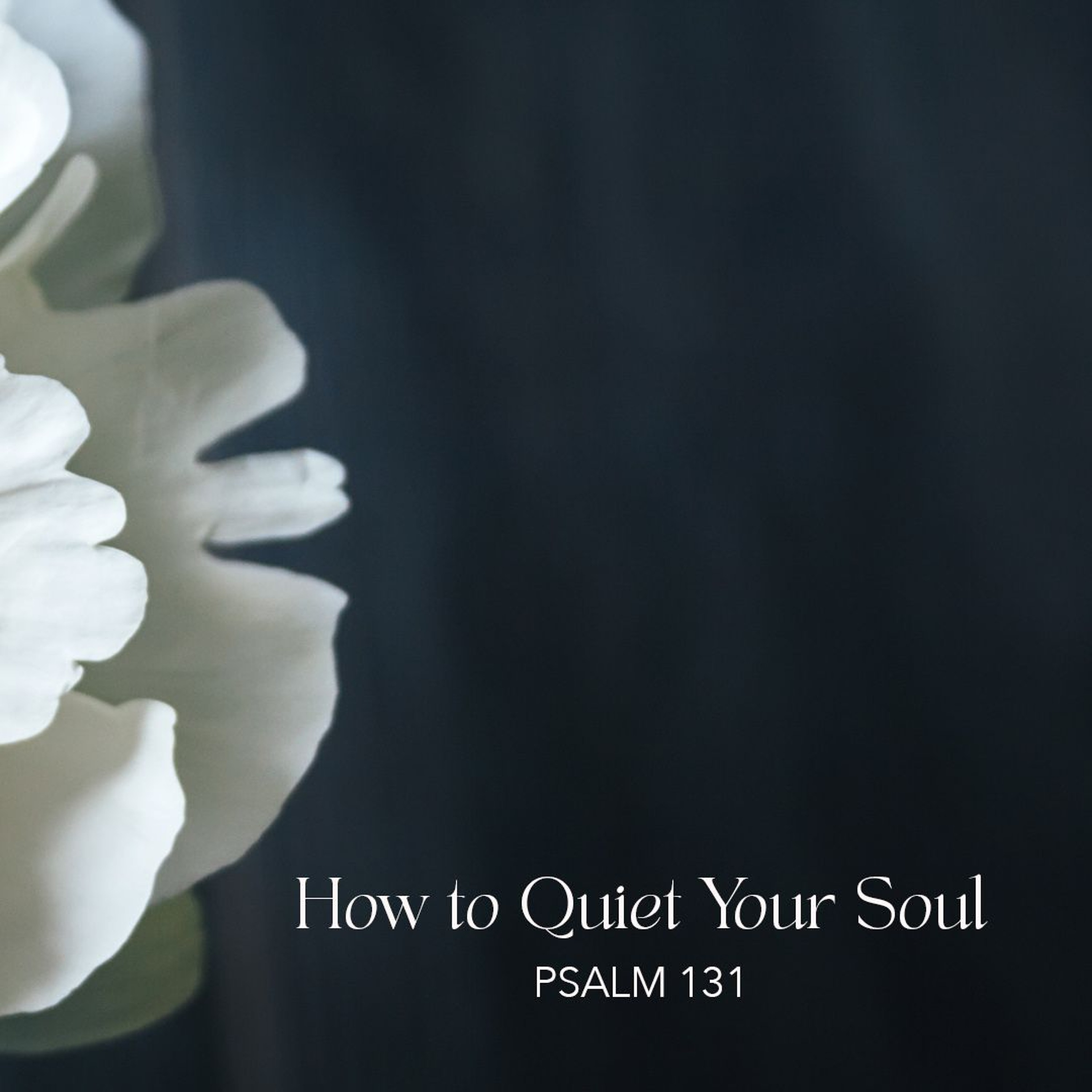 How to Quiet Your Soul (Auditorium) episode artwork