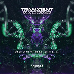 Transient Disorder - Reaction Cell l OUT NOW!