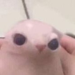 (Sped Up) Cochise - Hatchback TikTok_Version