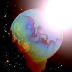 Narcotic Acid